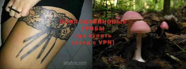 героин Алзамай