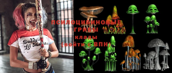 кокс Алексин