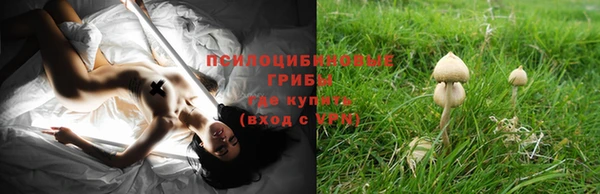 MESCALINE Алексеевка