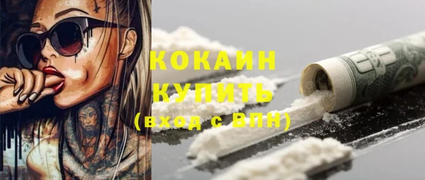 кокс Алексин