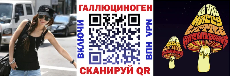 Галлюциногенные грибы Cubensis  ОМГ ОМГ   Сясьстрой 